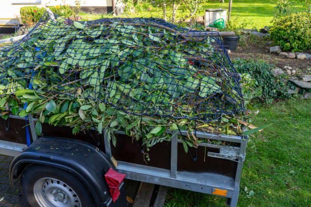Best Scrap Metal Removal  in Brooklyn, IN